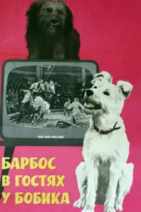 ƃapбoc в rocтяx y ƃoбuka