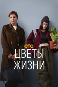 Анна Банщикова, Василиса Коростышевская, Павел Трубинер,